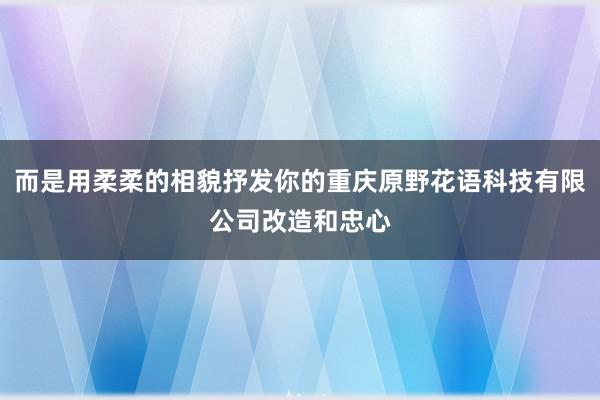 而是用柔柔的相貌抒发你的重庆原野花语科技有限公司改造和忠心