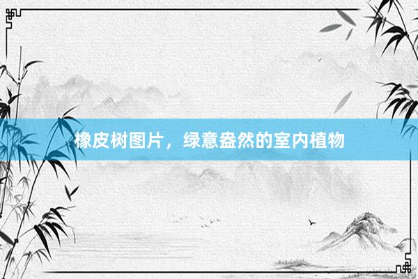 橡皮树图片，绿意盎然的室内植物