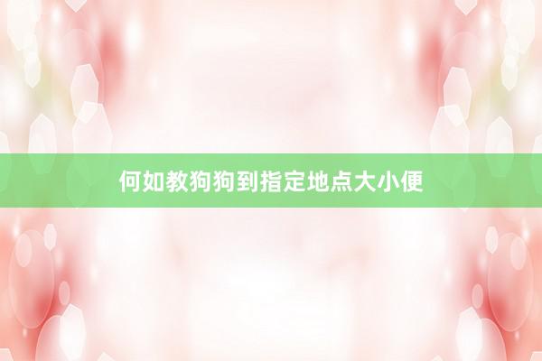 何如教狗狗到指定地点大小便