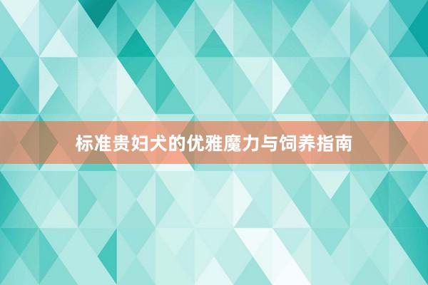 标准贵妇犬的优雅魔力与饲养指南